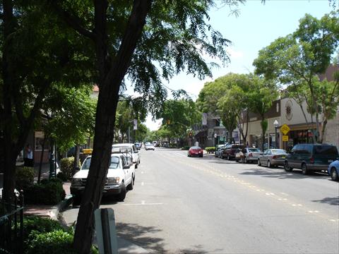 Tree Lined Main St. 